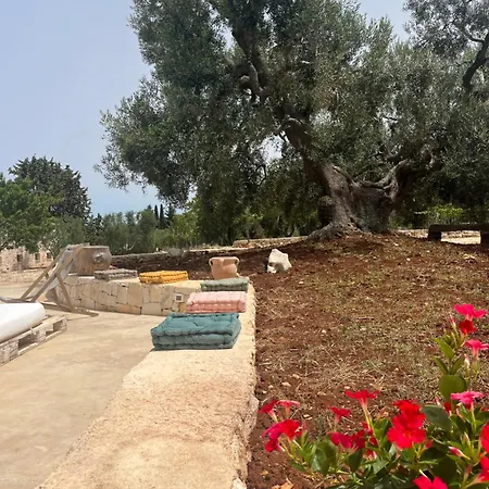 Dominique Relax A Pochi Kilometri Dal Mare Carovigno